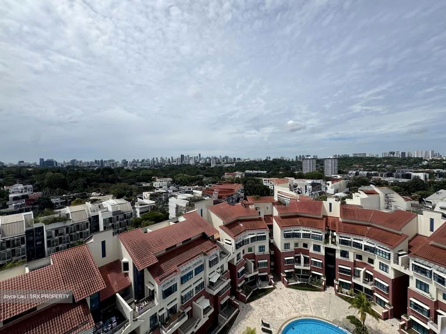 Nineteen Shelford Road (D11), Condominium #612587741